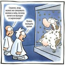 24.6.2022: Скрещивание пчёл и коровы.