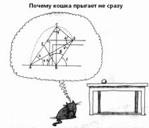 14.5.2018: Математика кошачьих
