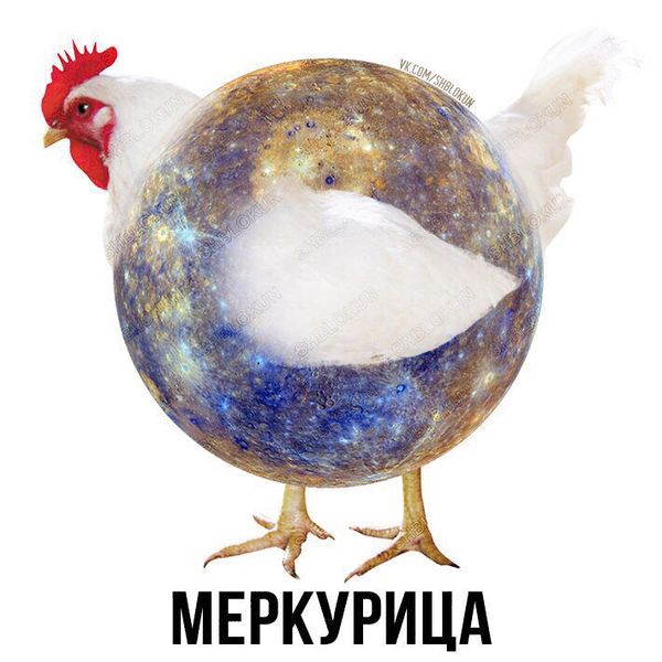 Файл:Меркурица.jpg