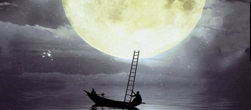 Файл:Qfwfq (1).jpg