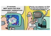 4.11.2022: Томография мозга от безумных учëных.