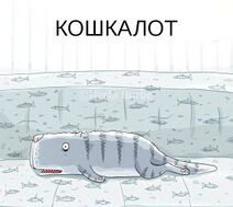 8.2.2026: Рыбу тоннами он жрёт, милый толстый кошкалот.