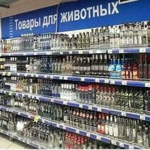 31.1.2019: Кто сказал «мяу»?