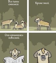 11.12.2020: Гиена огненная в начале своего пути.