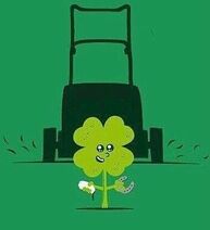 27.5.2019: Иногда подкова действительно приносит счастье.