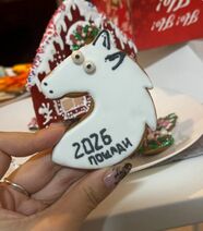 4.1.2026: По печеньковому зодиаку на смену году Умри приходит год Пощади.