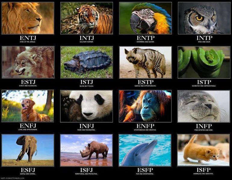 Файл:Animals MBTI.jpg