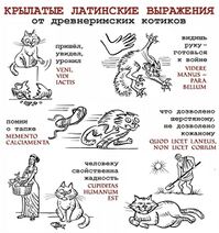 23.3.2026: Фелинолингвистика.