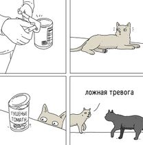 19.3.2023: Недрëманный кухонный дозор.