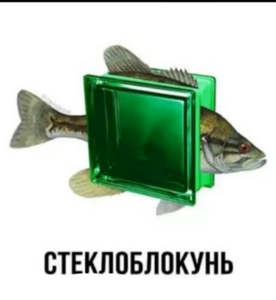 Файл:Последняя фотография стеклоблокуня.png