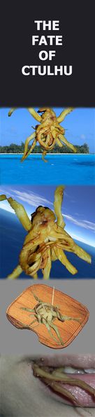 Файл:Fateofctulhu.jpg