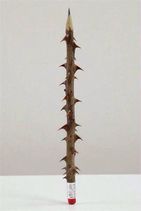 10.3.2020: Тернистый карандаш для настоящих мук творчества.