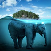 30.7.2020: Ножницы Оккама для Плоской Земли: устранение излишних сущностей в виде Черепахи.