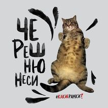 11.2.2019: Пересядь с иглы кошачьего одобрения на Доширак.