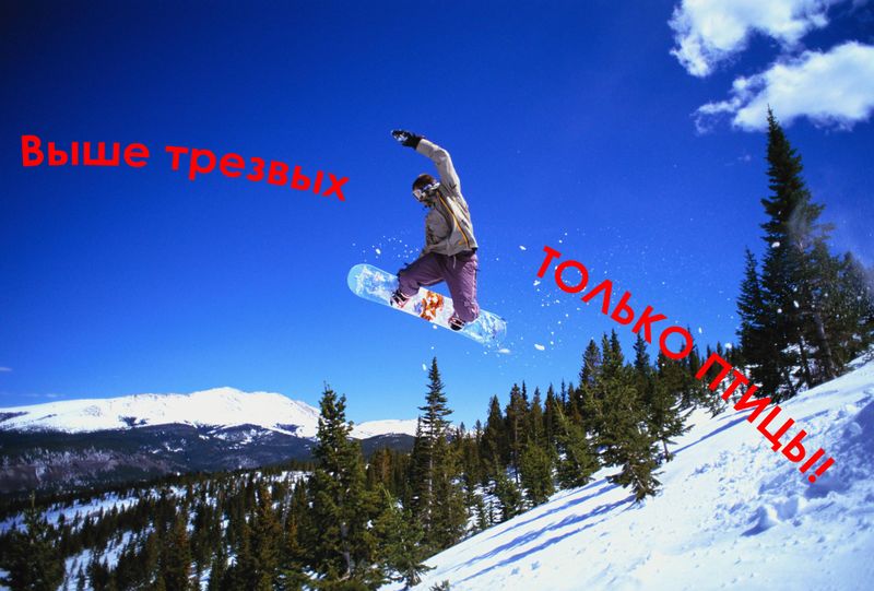 Файл:Vishe trezvih tolko ptici.jpg