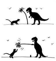 4.2.2023: Кошкоящеры и их повадки.