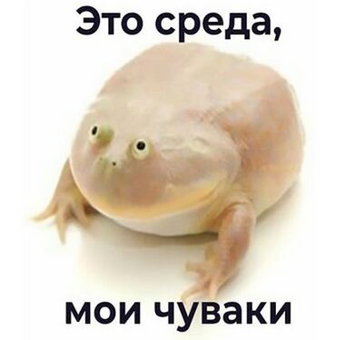Это среда, мои чуваки