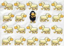 18.5.2021: Несчитываемая овца.