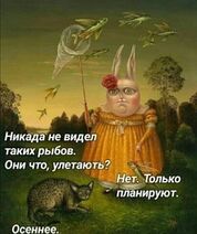 8.9.2022: Рыбные миграции в тëплые страны.