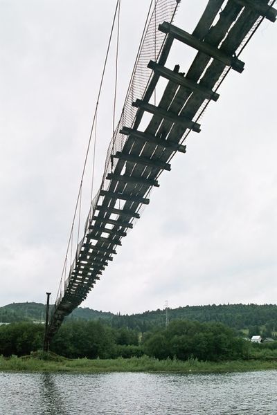 Файл:Муравьёвы норы.jpg