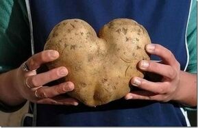 Картошечно-гибридное растение