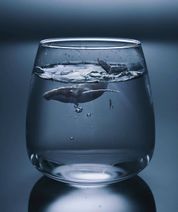 25.7.2020: Был у нас воды бокал, синий кит в нём обитал.