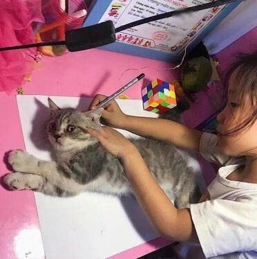 Как нарисовать кошачий силуэт