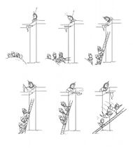 17.4.2022: Смена перспективы.