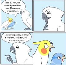 28.2.2023: Срыв покровов у птиц.