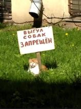 14.7.2020: Одиночный пикет.