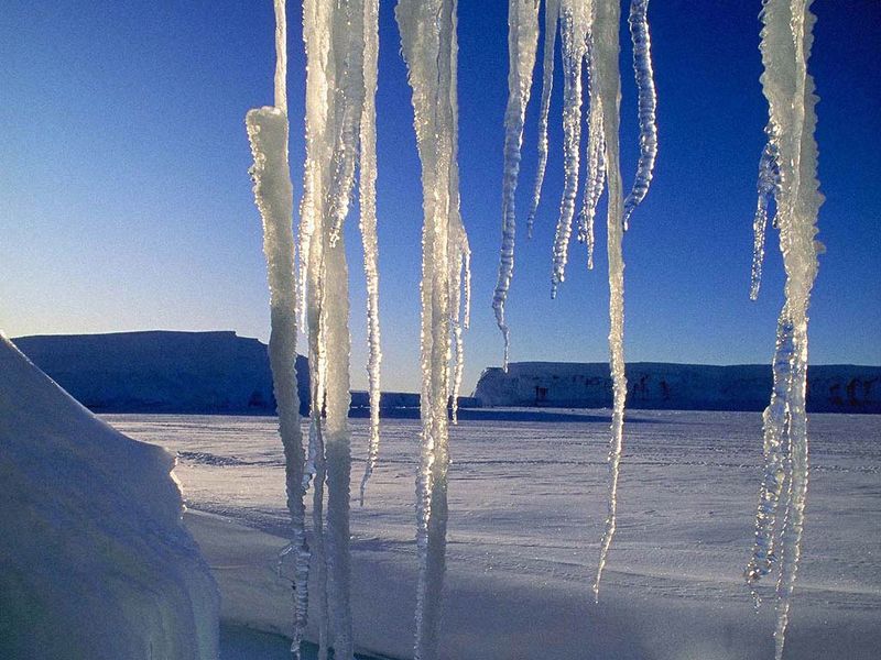 Файл:Сосульки на природе.jpg