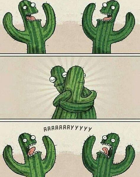 Файл:Обнимашки-кактусов.jpg