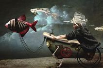 11.7.2020:Турне по дну воздушного океана.