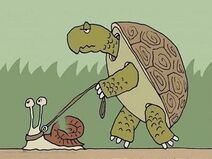 26.2.2019: Поспешай, не торопясь.