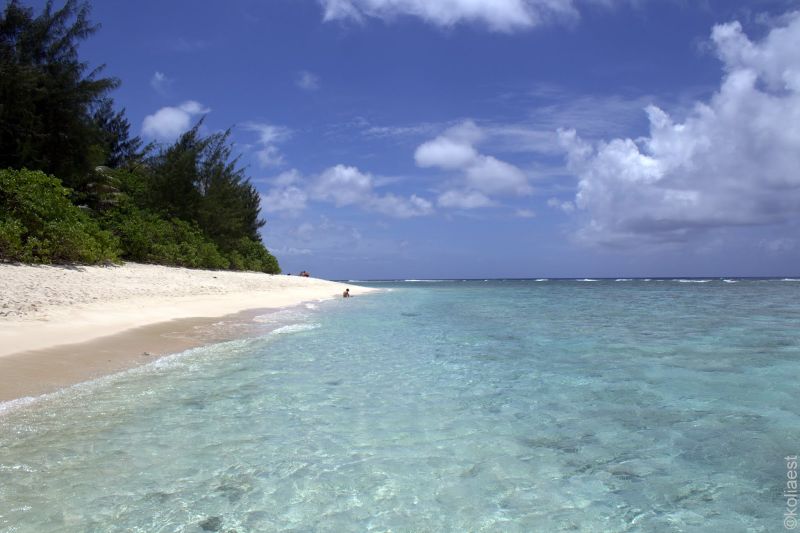 Файл:IMG 5893.jpg