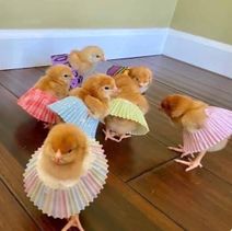 16.8.2020 Балетный кружок на птицефабрике.