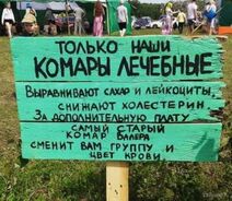 30.1.2023: Комаролечебница.