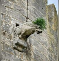 11.1.2022: Горгулья-неформал.