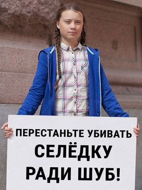 Грета Тунберг с эко-плакатами