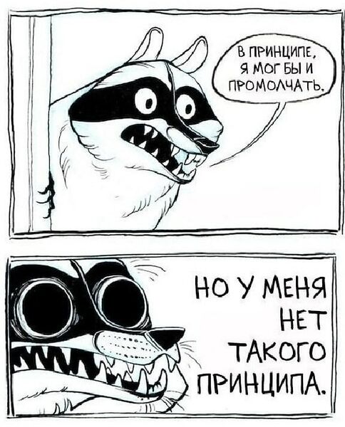Файл:Енот-полоскун.jpg