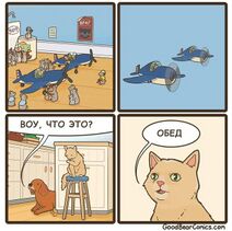 23.3.2023 Мыши атакуют.