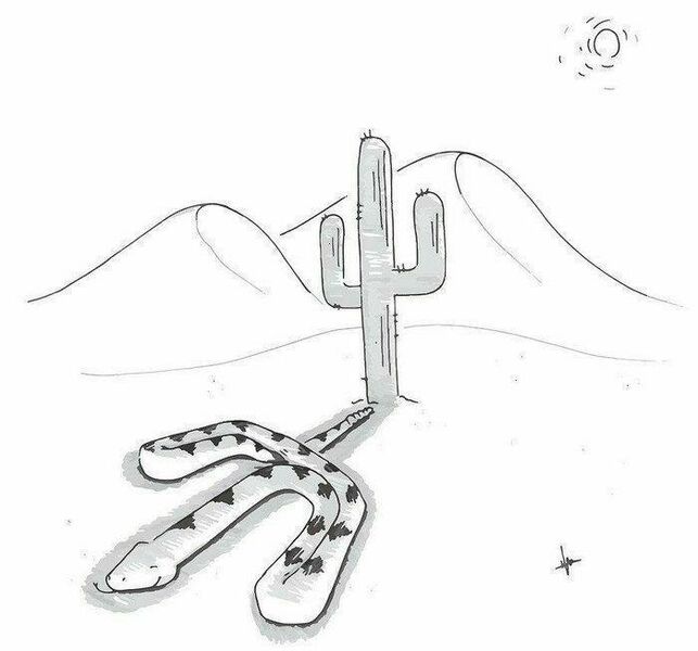 Файл:Змея-и-кактус.jpg
