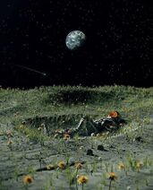 12.4.2022: Подальше от забот житейских Средь одуванчиков Луны Разляжемся эпикурейски Не мы.