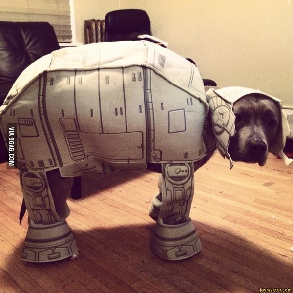 Файл:Sobaka SW.jpeg