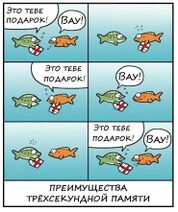 1.4.2026: Как дарят подарки рыбы.