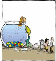 27.2.2020: Когда забыл покормить рыбок.