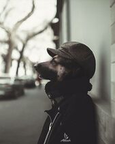 11.7.2023: Агент Пёсель.