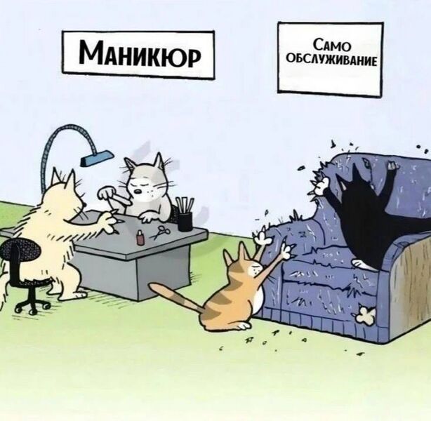 Файл:Котокюр.jpg