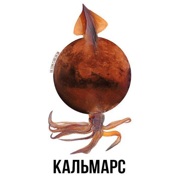Файл:Кальмарс.jpg