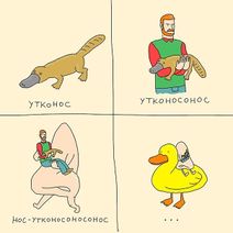 11.6.2020: Утконосология.